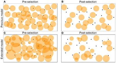 Is the exquisite specificity of lymphocytes generated by thymic selection or due to evolution?